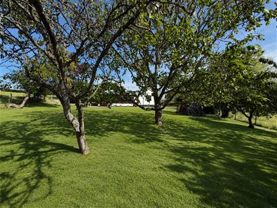 Picture 24